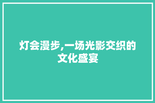 灯会漫步,一场光影交织的文化盛宴