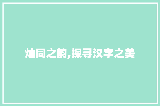 灿同之韵,探寻汉字之美
