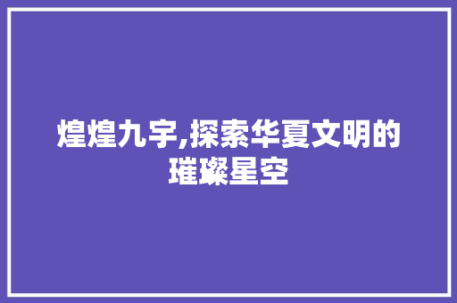 煌煌九宇,探索华夏文明的璀璨星空