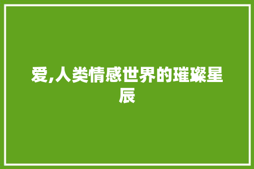 爱,人类情感世界的璀璨星辰
