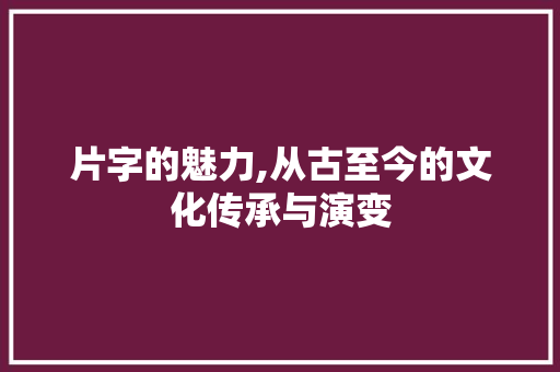 片字的魅力,从古至今的文化传承与演变