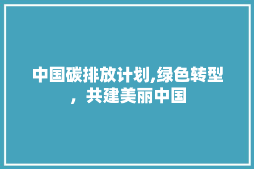 中国碳排放计划,绿色转型，共建美丽中国