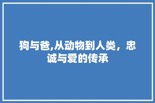狗与爸,从动物到人类，忠诚与爱的传承