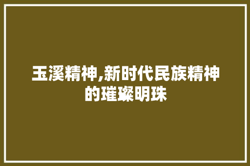 玉溪精神,新时代民族精神的璀璨明珠