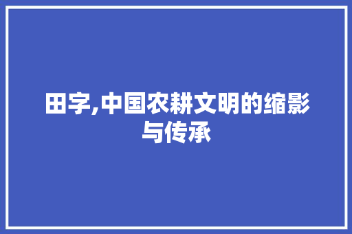 田字,中国农耕文明的缩影与传承