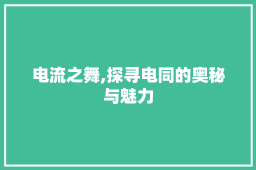 电流之舞,探寻电同的奥秘与魅力 诗词佳句