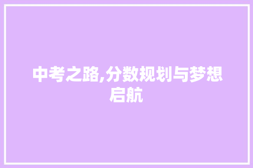 中考之路,分数规划与梦想启航