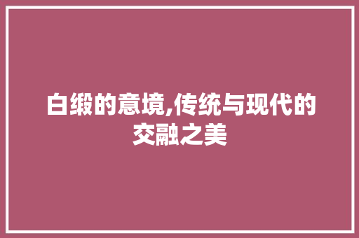 白缎的意境,传统与现代的交融之美