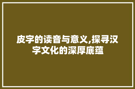 皮字的读音与意义,探寻汉字文化的深厚底蕴