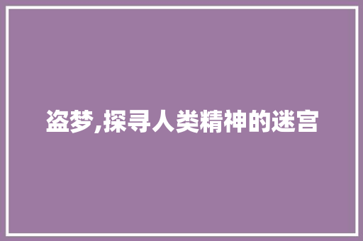 盗梦,探寻人类精神的迷宫