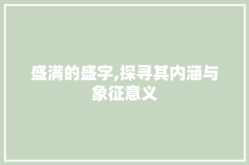 盛满的盛字,探寻其内涵与象征意义
