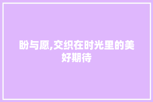 盼与愿,交织在时光里的美好期待