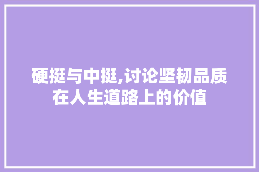 硬挺与中挺,讨论坚韧品质在人生道路上的价值