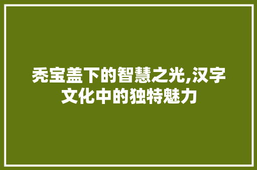 秃宝盖下的智慧之光,汉字文化中的独特魅力