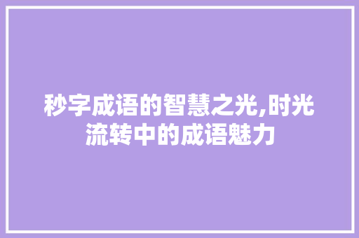 秒字成语的智慧之光,时光流转中的成语魅力