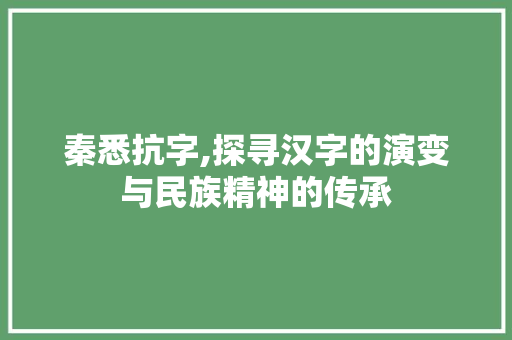 秦悉抗字,探寻汉字的演变与民族精神的传承