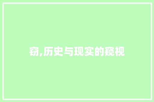 窃,历史与现实的窥视