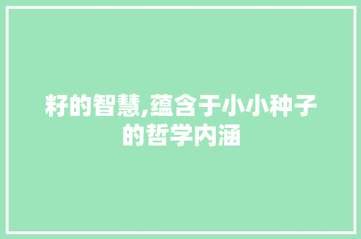 籽的智慧,蕴含于小小种子的哲学内涵
