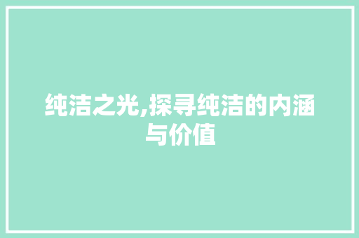 纯洁之光,探寻纯洁的内涵与价值