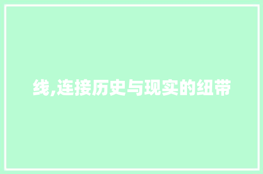 线,连接历史与现实的纽带