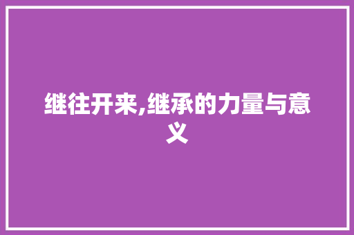 继往开来,继承的力量与意义