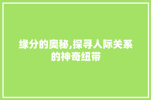 缘分的奥秘,探寻人际关系的神奇纽带