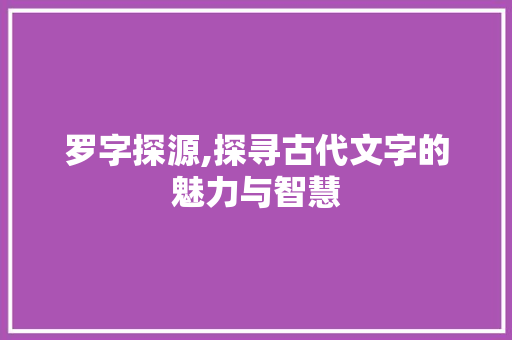 罗字探源,探寻古代文字的魅力与智慧