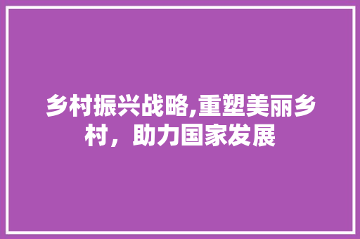 乡村振兴战略,重塑美丽乡村，助力国家发展