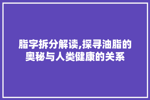 脂字拆分解读,探寻油脂的奥秘与人类健康的关系
