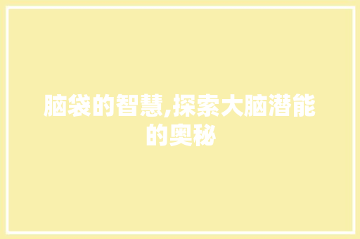 脑袋的智慧,探索大脑潜能的奥秘