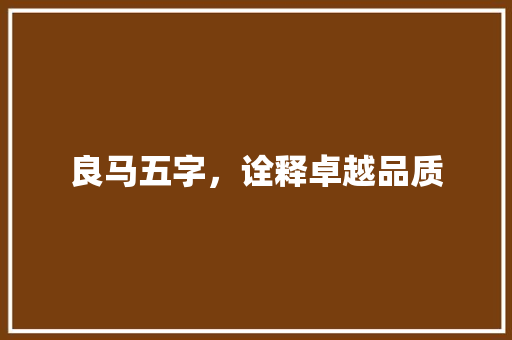 良马五字，诠释卓越品质