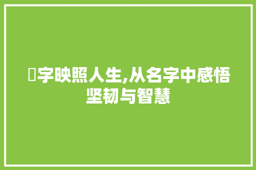 茓字映照人生,从名字中感悟坚韧与智慧