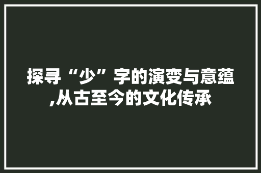 探寻“少”字的演变与意蕴,从古至今的文化传承