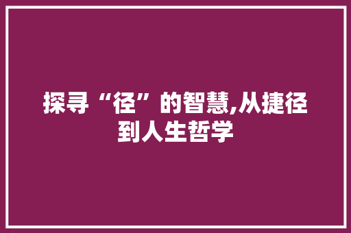 探寻“径”的智慧,从捷径到人生哲学