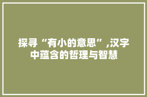 探寻“有小的意思”,汉字中蕴含的哲理与智慧