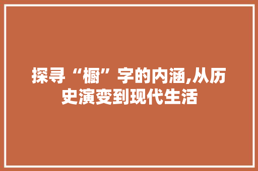 探寻“橱”字的内涵,从历史演变到现代生活