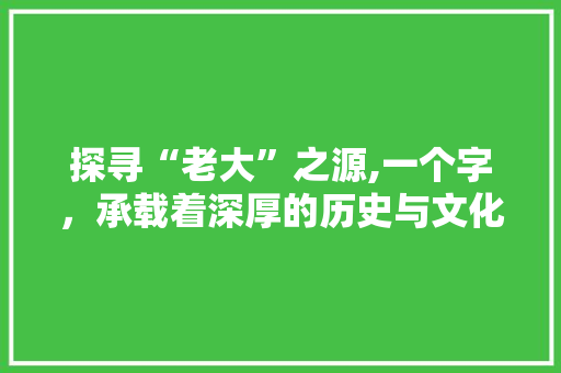 探寻“老大”之源,一个字，承载着深厚的历史与文化