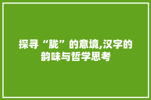 探寻“胧”的意境,汉字的韵味与哲学思考