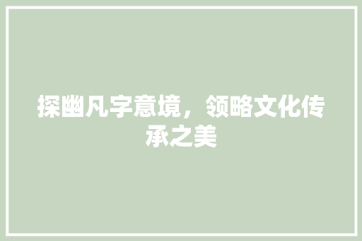 探幽凡字意境，领略文化传承之美