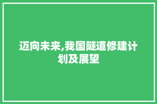 迈向未来,我国隧道修建计划及展望