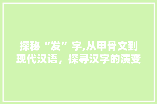 探秘“发”字,从甲骨文到现代汉语，探寻汉字的演变与发展