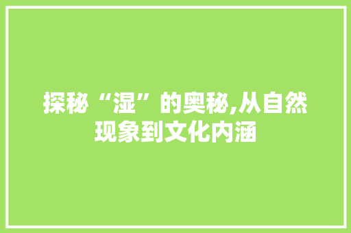 探秘“湿”的奥秘,从自然现象到文化内涵 古代典籍
