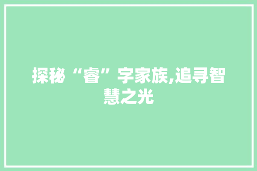 探秘“睿”字家族,追寻智慧之光