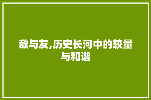 敌与友,历史长河中的较量与和谐