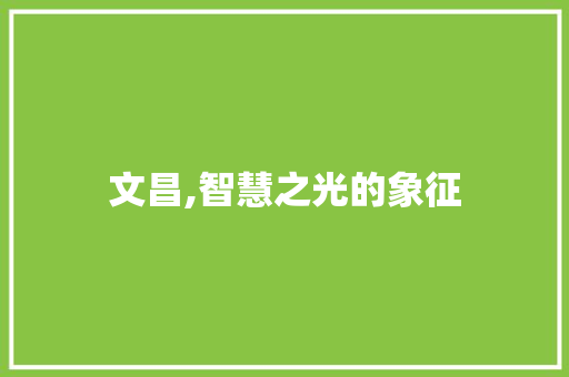文昌,智慧之光的象征
