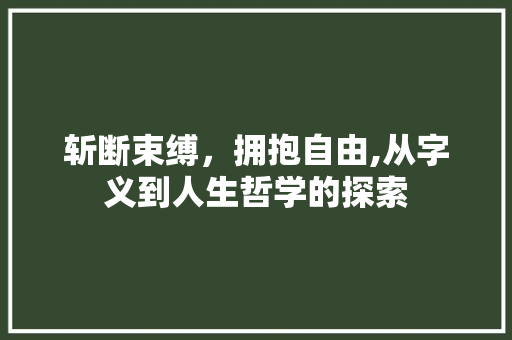 斩断束缚，拥抱自由,从字义到人生哲学的探索