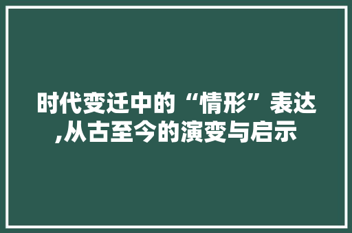 时代变迁中的“情形”表达,从古至今的演变与启示 英语单词