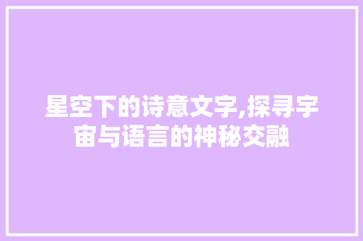 星空下的诗意文字,探寻宇宙与语言的神秘交融