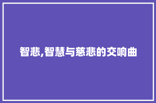 智悲,智慧与慈悲的交响曲