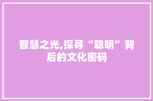 智慧之光,探寻“聪明”背后的文化密码